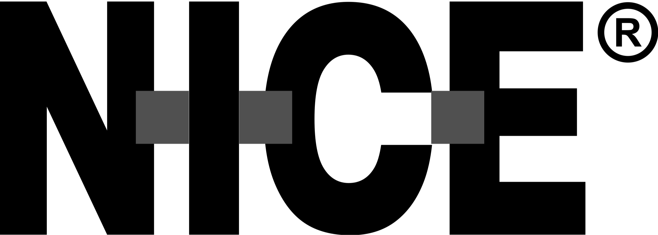Nice_Logo